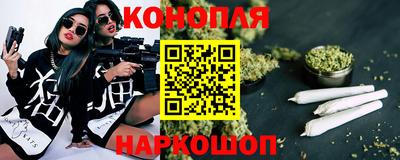 прущие грибы Обь