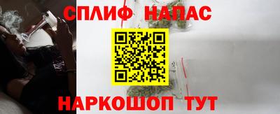 прущие грибы Обь