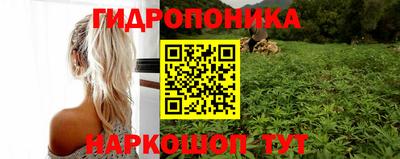 прущие грибы Обь