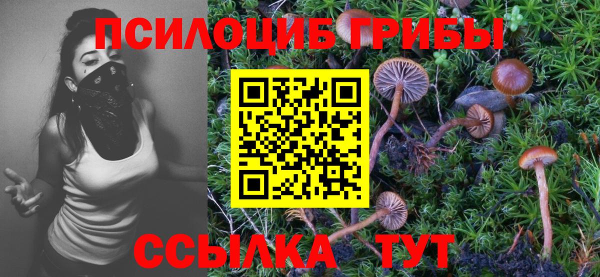Псилоцибиновые грибы Cubensis Солнечногорск