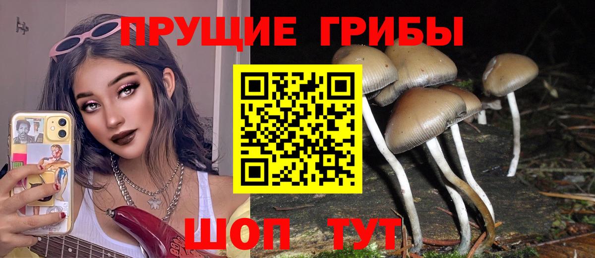 Псилоцибиновые грибы прущие грибы  Вход с VPN  Солнечногорск 